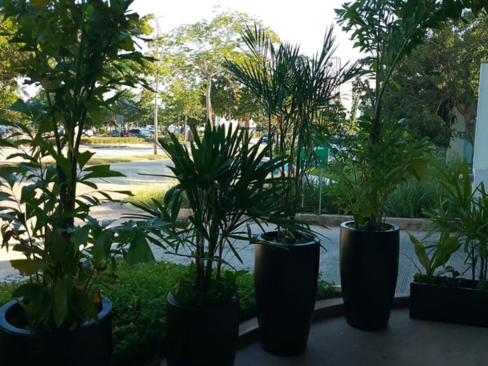Jardín con macetas junto a alberca